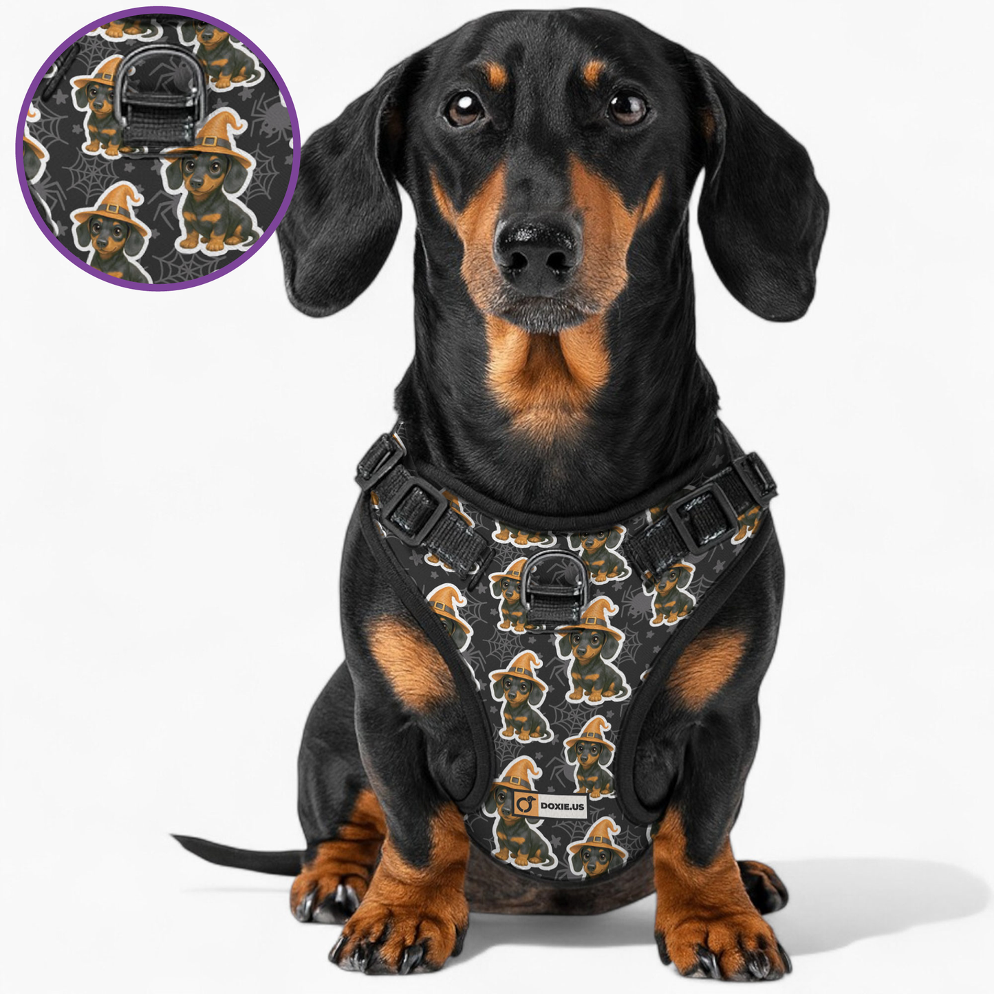 Roxy -  No-Pull Dachshund Dog Harness
