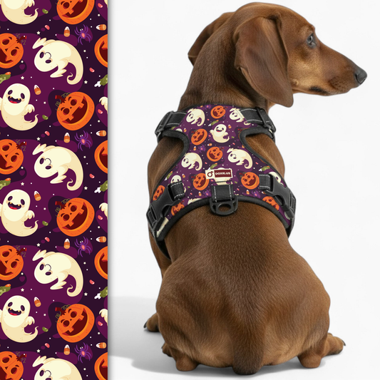 Rosie -  No-Pull Dachshund Dog Harness
