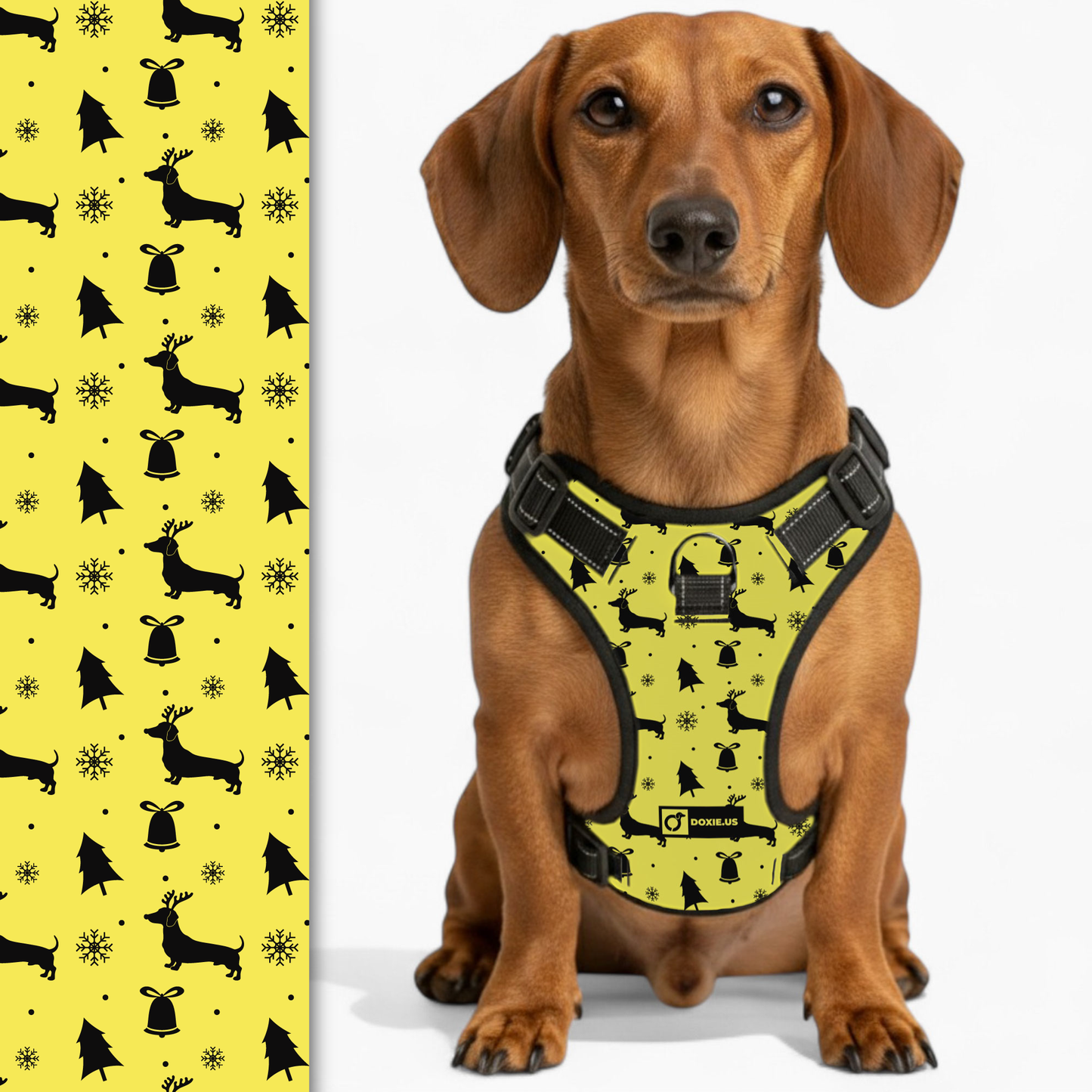 Gilbert -  No-Pull Dachshund Dog Harness