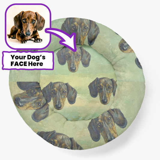 Dash - Personalized Cloud-Comfort Large, Small & Puppy Dachshund Bed | Anti-Anxiety Donut Bed for Dachshunds