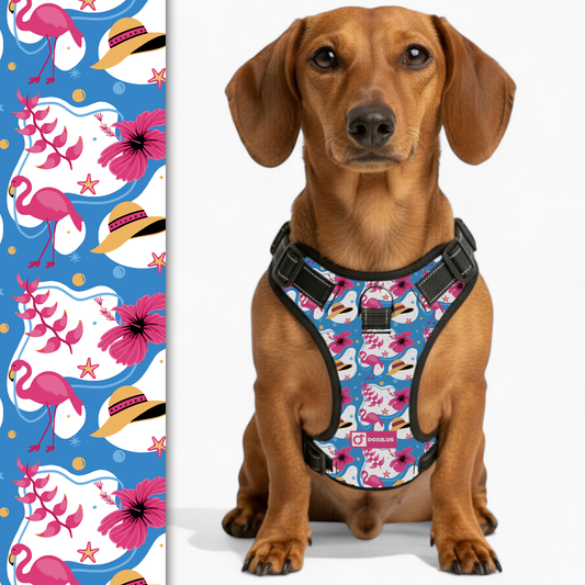 Pretzel -  No-Pull Dachshund Dog Harness