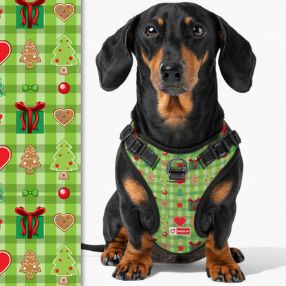 Alex -  No-Pull Dachshund Dog Harness