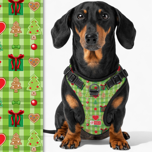 Alex -  No-Pull Dachshund Dog Harness