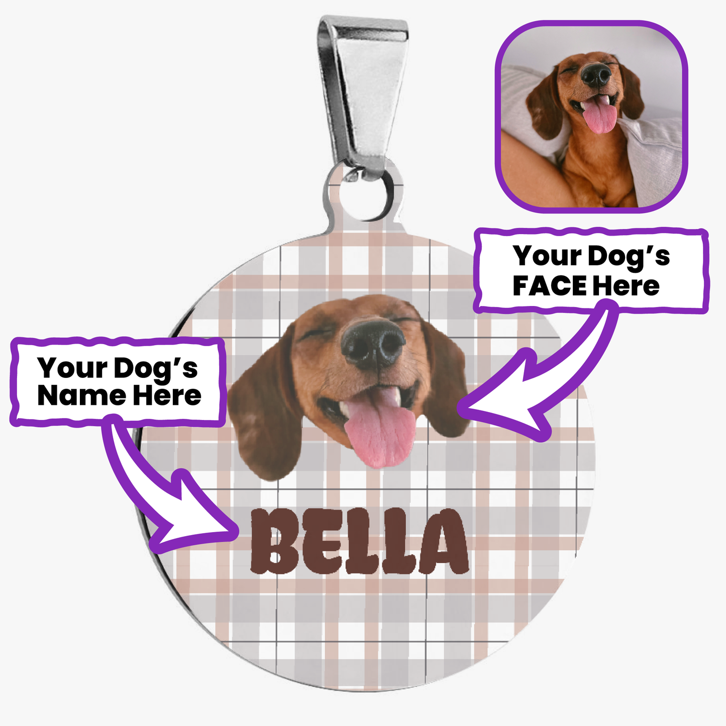 Molly - Custom Dachshund Tag | Double-Sided ID