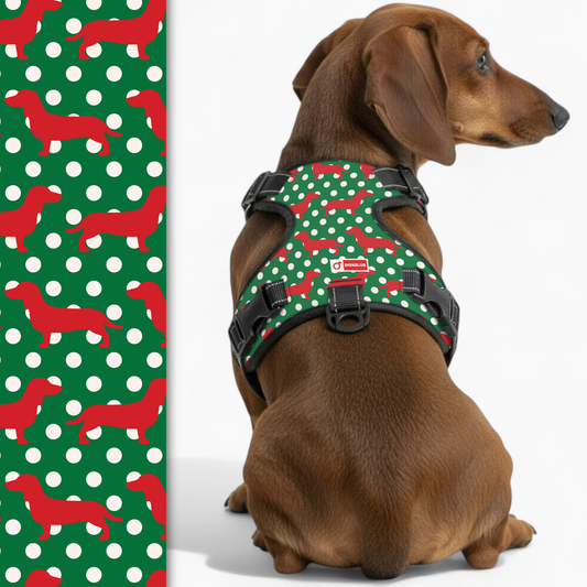 Carly -  No-Pull Dachshund Dog Harness