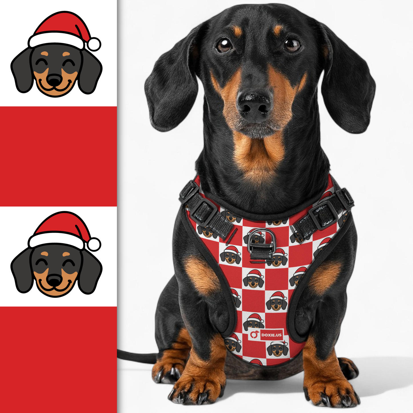 Nugget -  No-Pull Dachshund Dog Harness