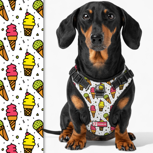 Frank -  No-Pull Dachshund Dog Harness