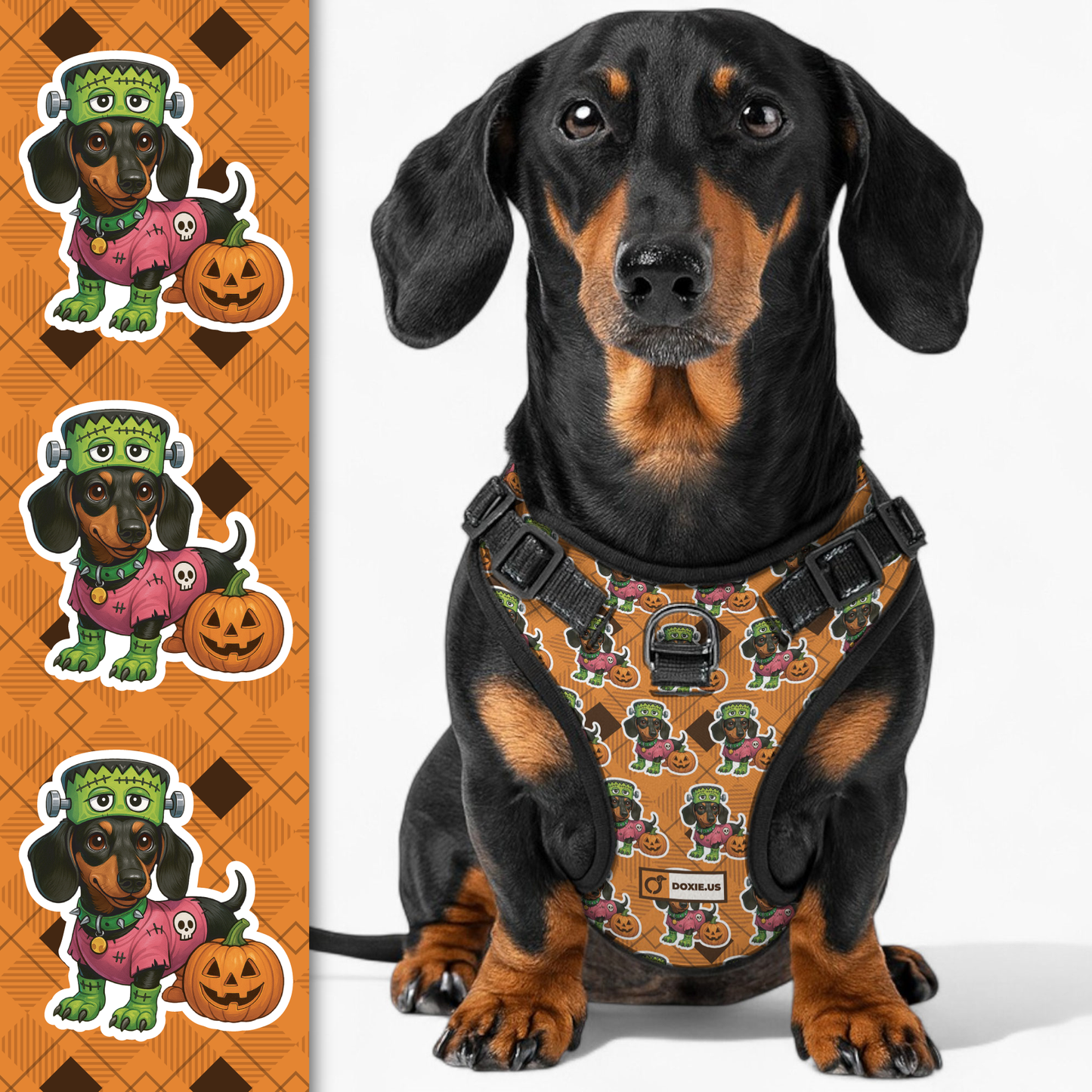 Willow -  No-Pull Dachshund Dog Harness