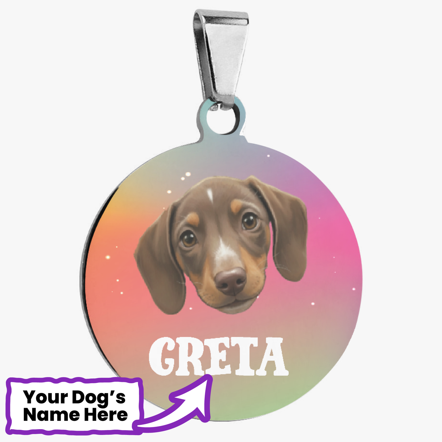 Willow - Custom Dachshund Tag | Double-Sided ID
