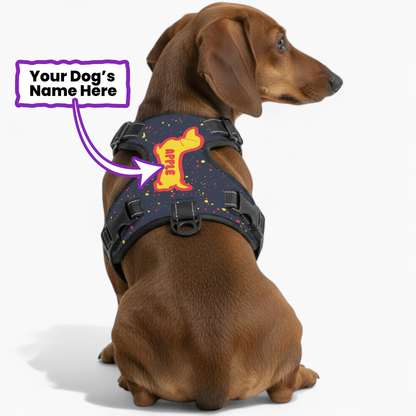 Treacle - Personalized No-Pull Dachshund Dog Harness