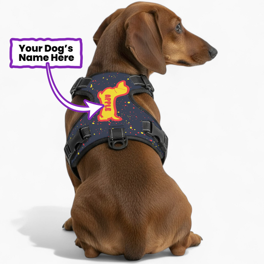 Treacle - Personalized No-Pull Dachshund Dog Harness