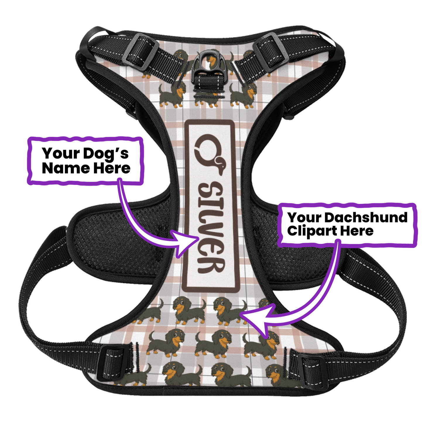 Thistle -  Personalized No-Pull Dachshund Dog Harness
