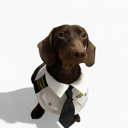 CaptainPaws-Dachshund-Pilot-Costume.jpg