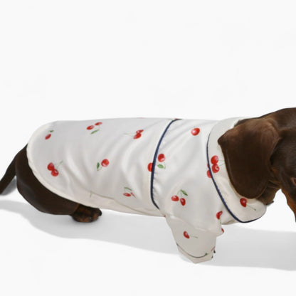 CherryPup-Dachshund-Pajamas.jpg