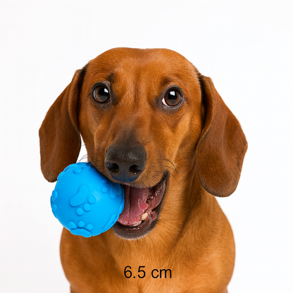 ChewPaw-Dachshund-Chew-Toys.jpg