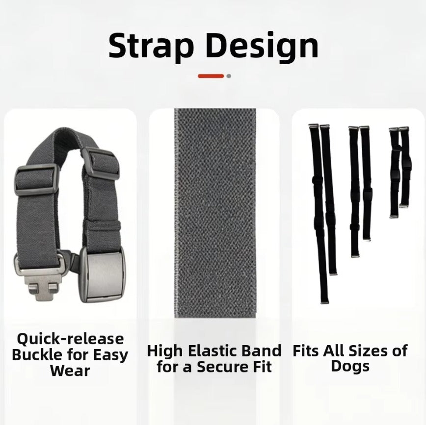 ChillPaw-Dachshund-Cooling-Harness.jpg