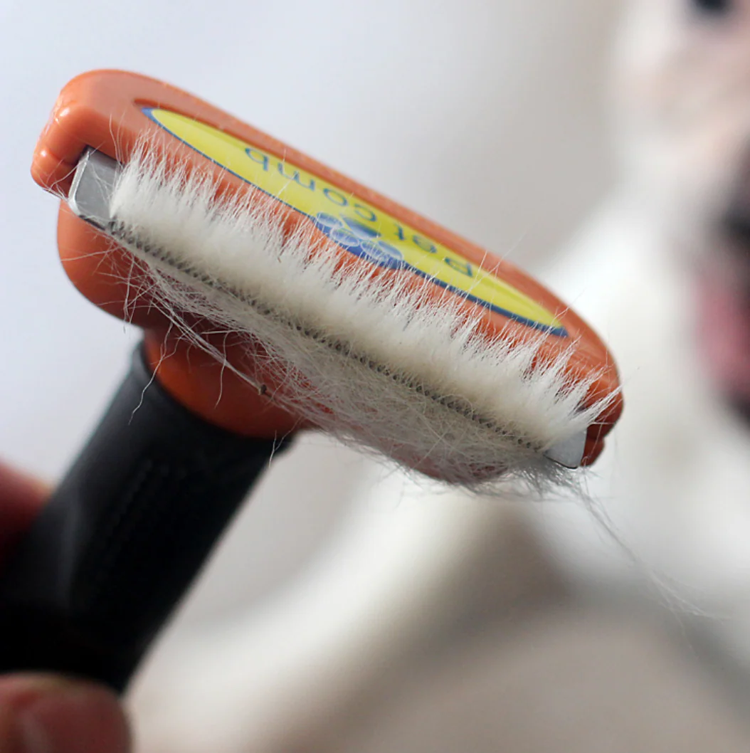Combify™-Dachshund-Deshedding-Comb.jpg