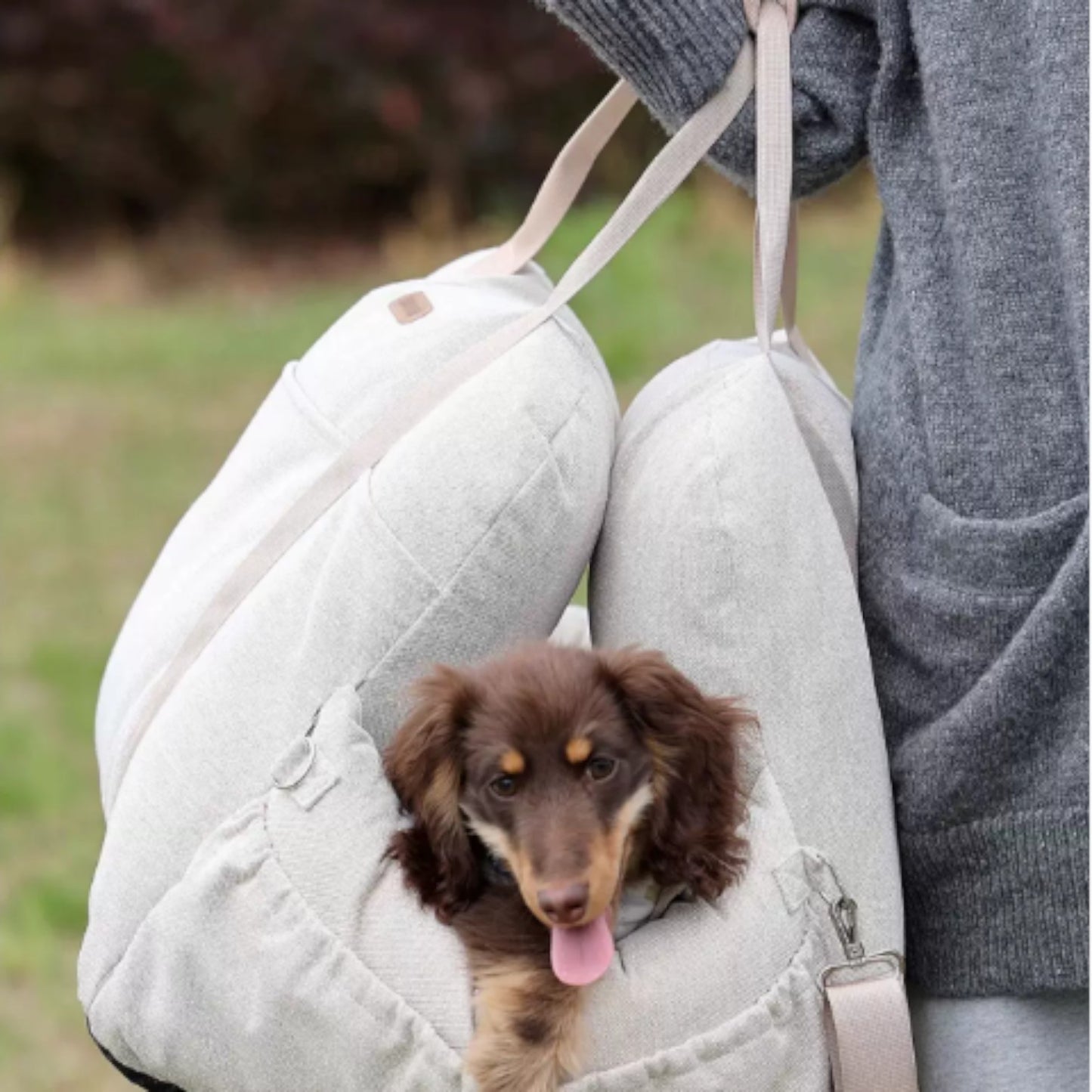 ComfiRide-Dachshund-Car-Bed.jpg
