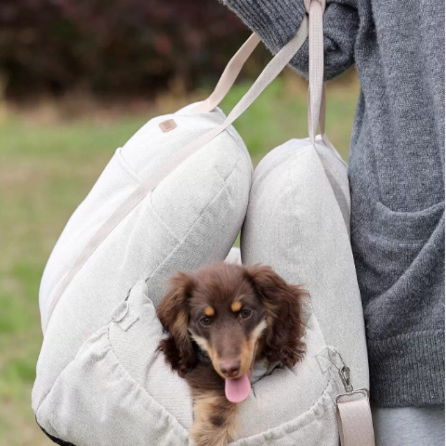 ComfiRide-Dachshund-Car-Bed.jpg