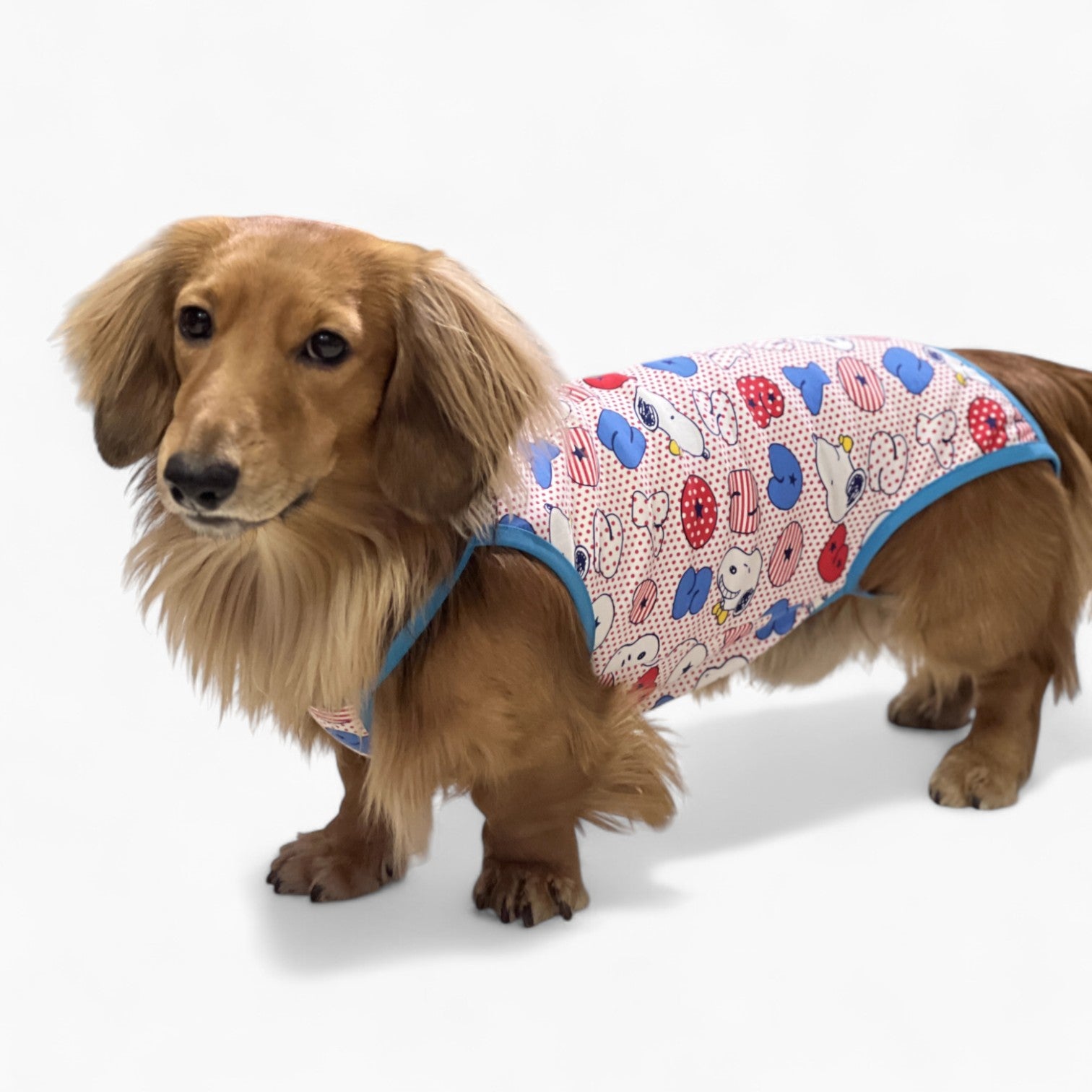 ComfiTail-Dachshund-Summer-Camisole.jpg