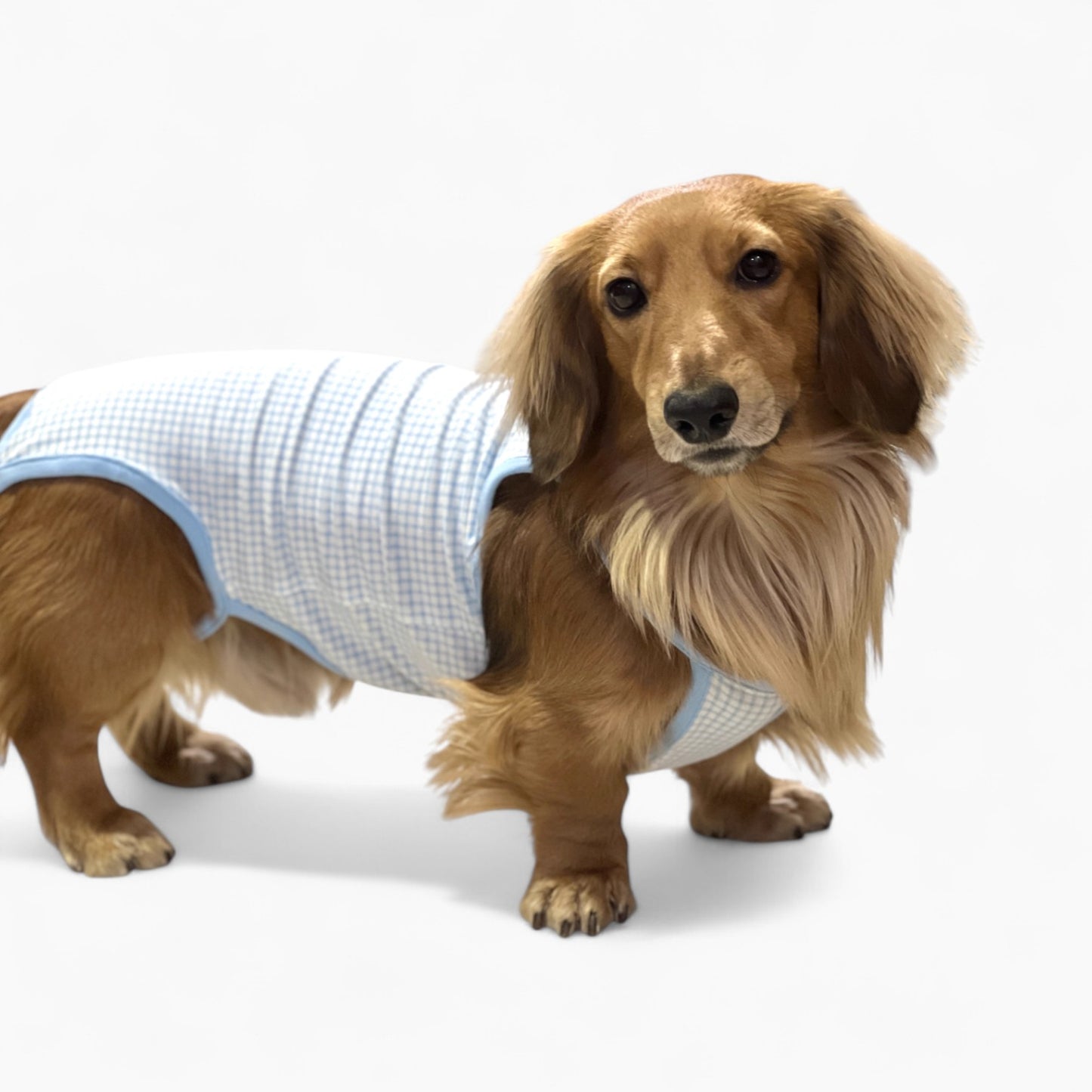 ComfiTail-Dachshund-Summer-Camisole.jpg