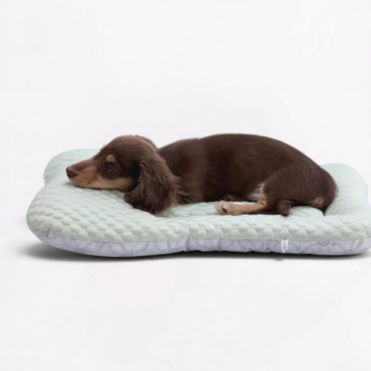 CoolNest-Dachshund-Cooling-Mat.jpg