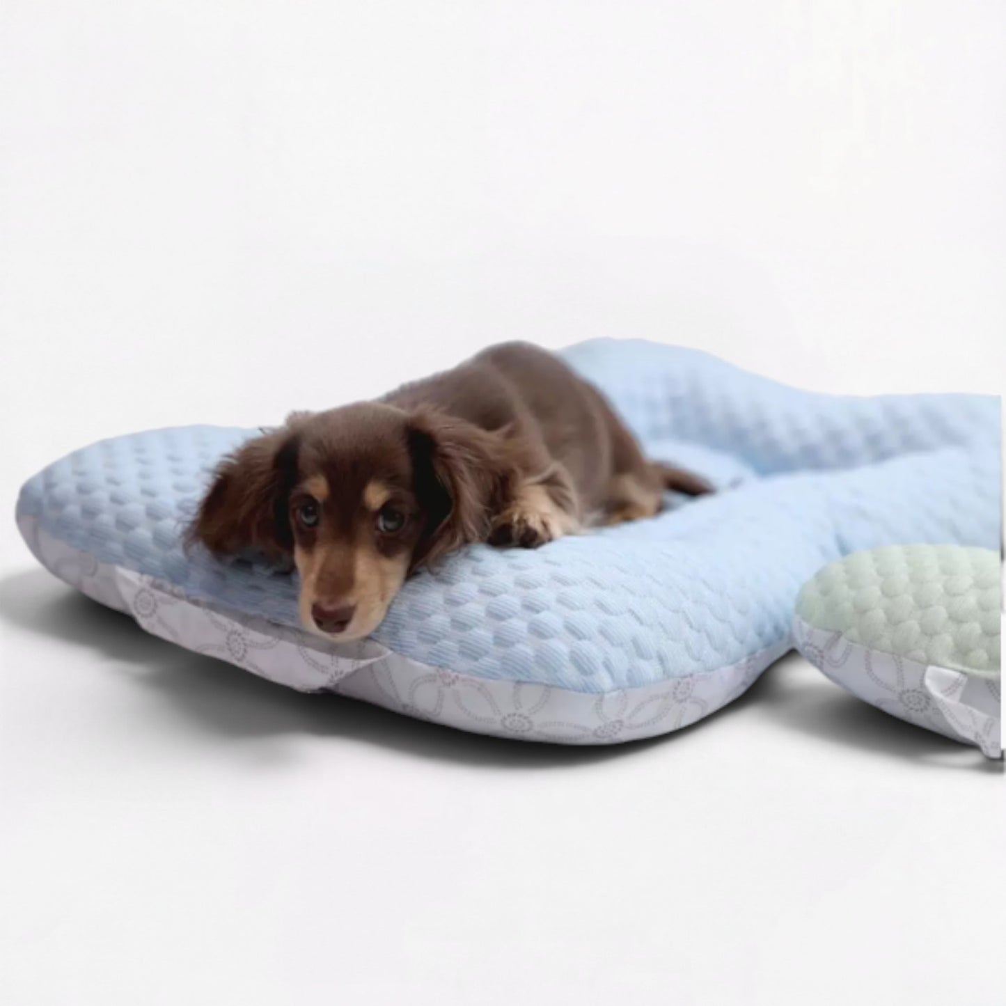 CoolNest-Dachshund-Cooling-Mat.jpg