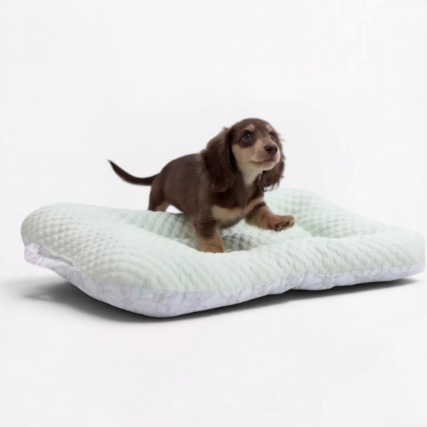 CoolNest-Dachshund-Cooling-Mat.jpg