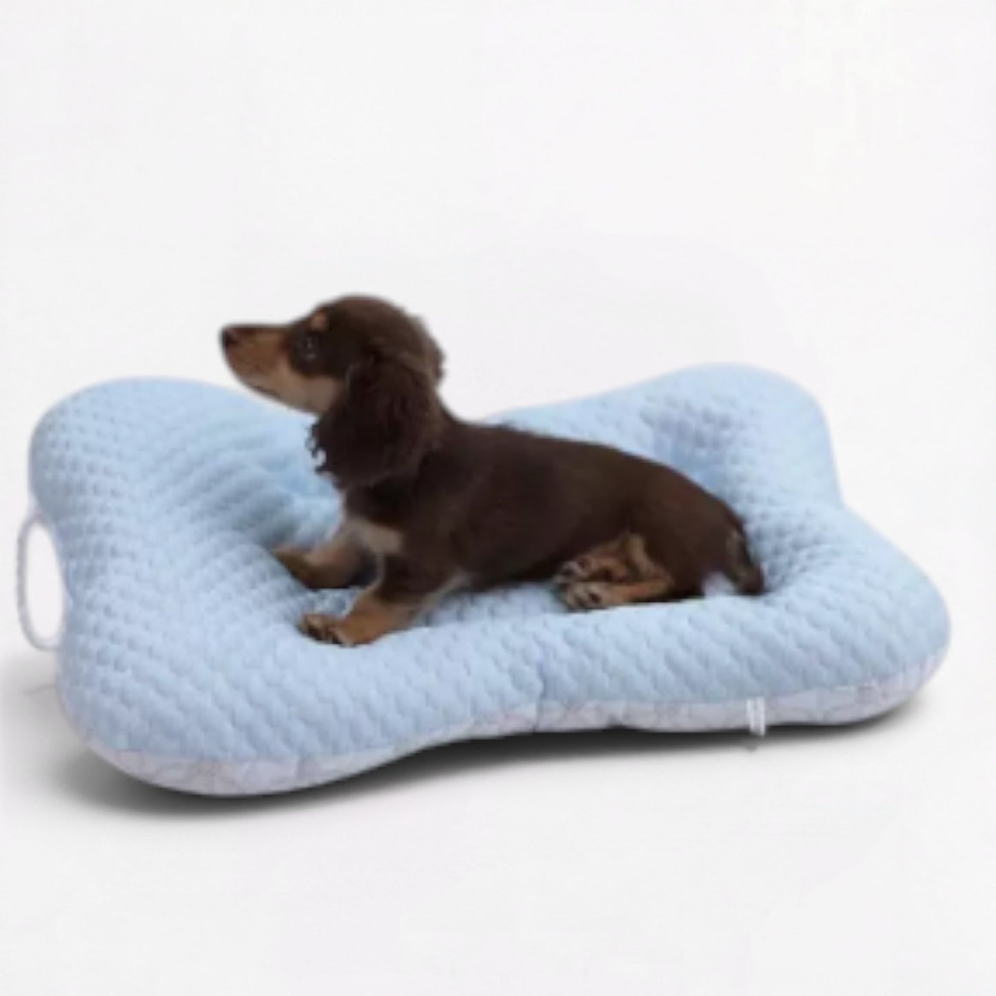 CoolNest-Dachshund-Cooling-Mat.jpg