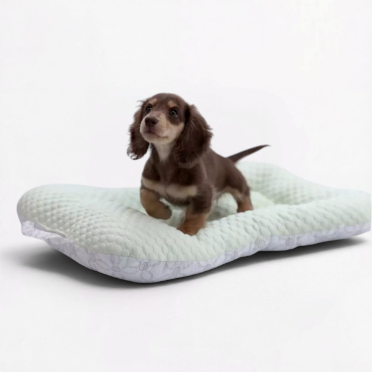 CoolNest-Dachshund-Cooling-Mat.jpg