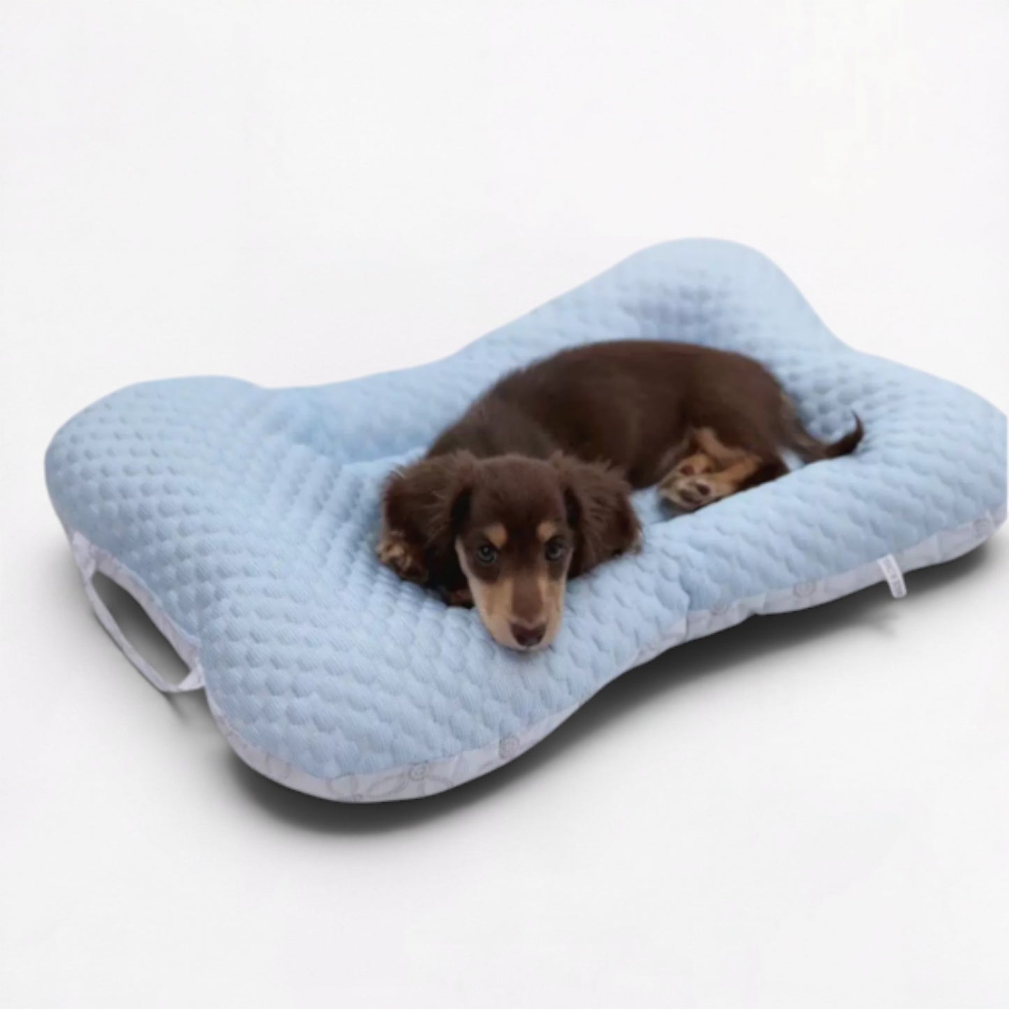 CoolNest-Dachshund-Cooling-Mat.jpg