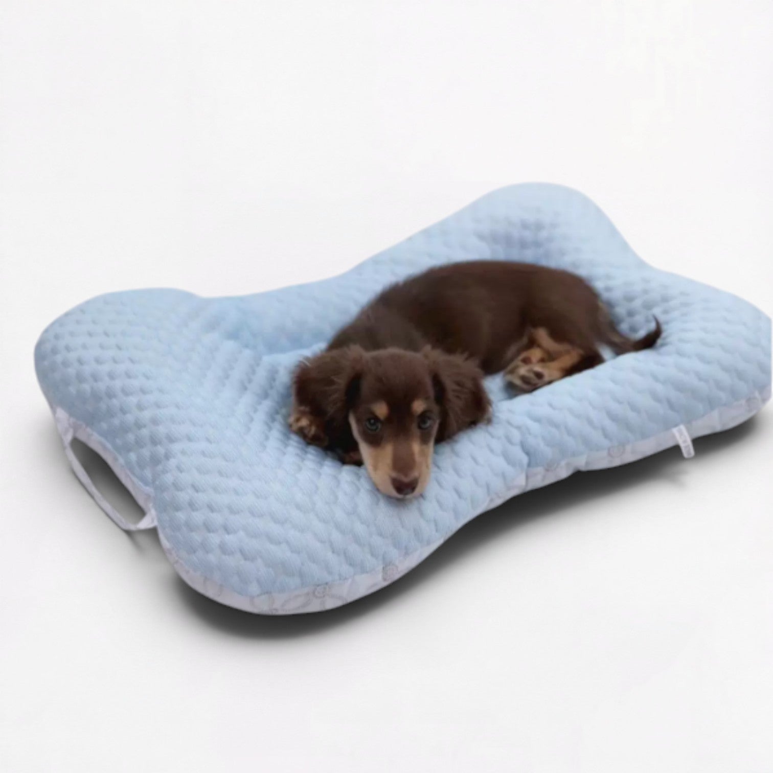 CoolNest-Dachshund-Cooling-Mat.jpg
