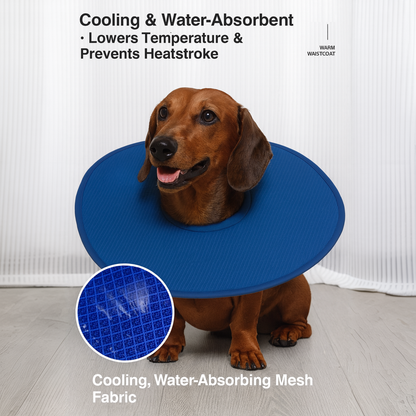 CoolPaw-Dachshund-Elizabethan-Collar.jpg