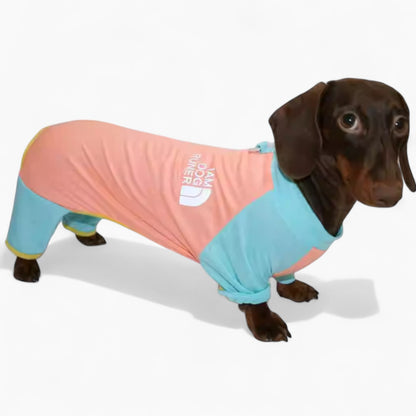 CoolPup-Dachshund-Summer-Suit.jpg
