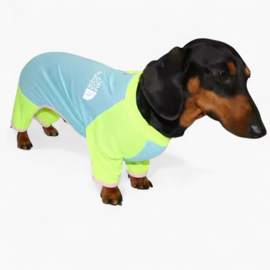 CoolPup-Dachshund-Summer-Suit.jpg