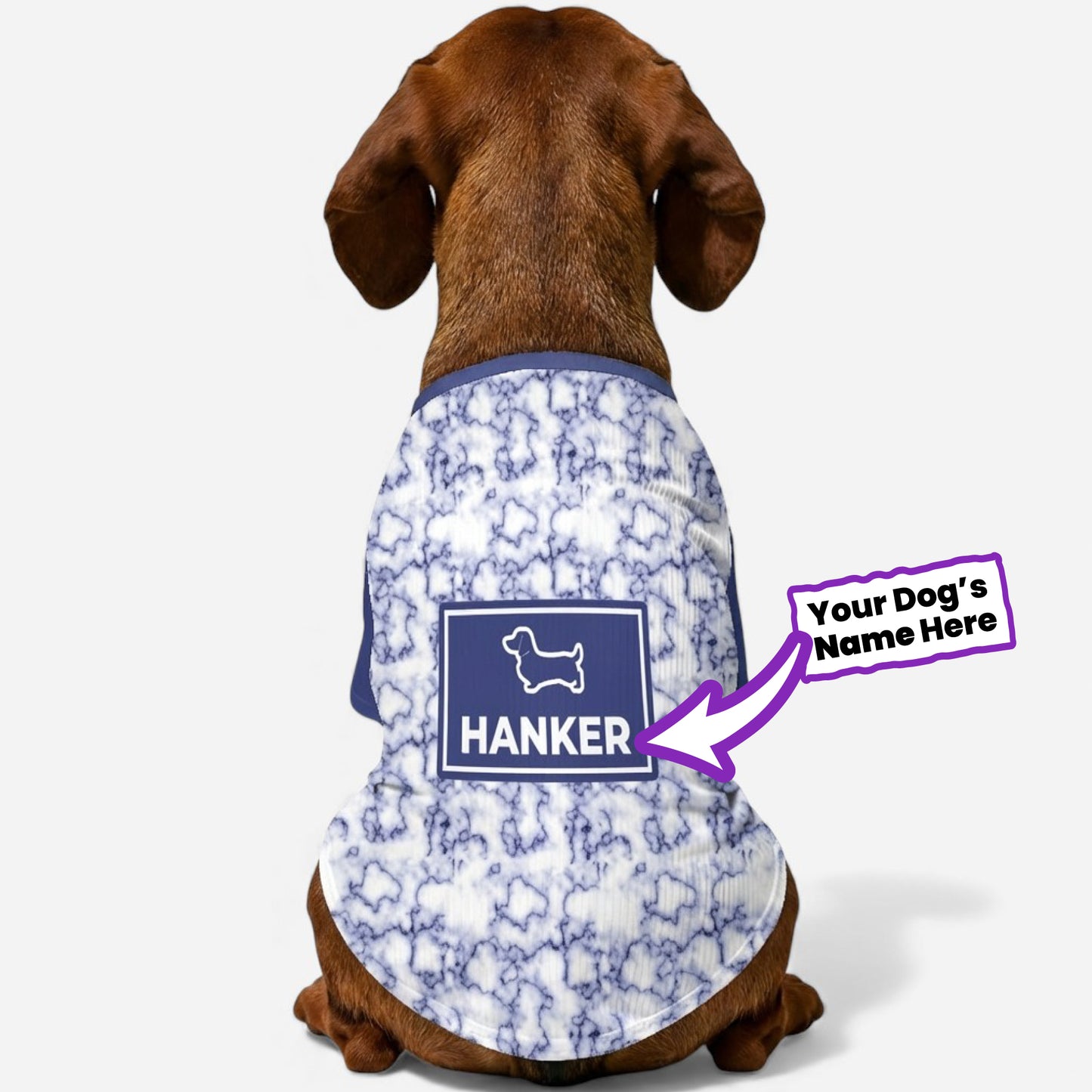 Lanky - Personalized Wool Sweater for Doxie