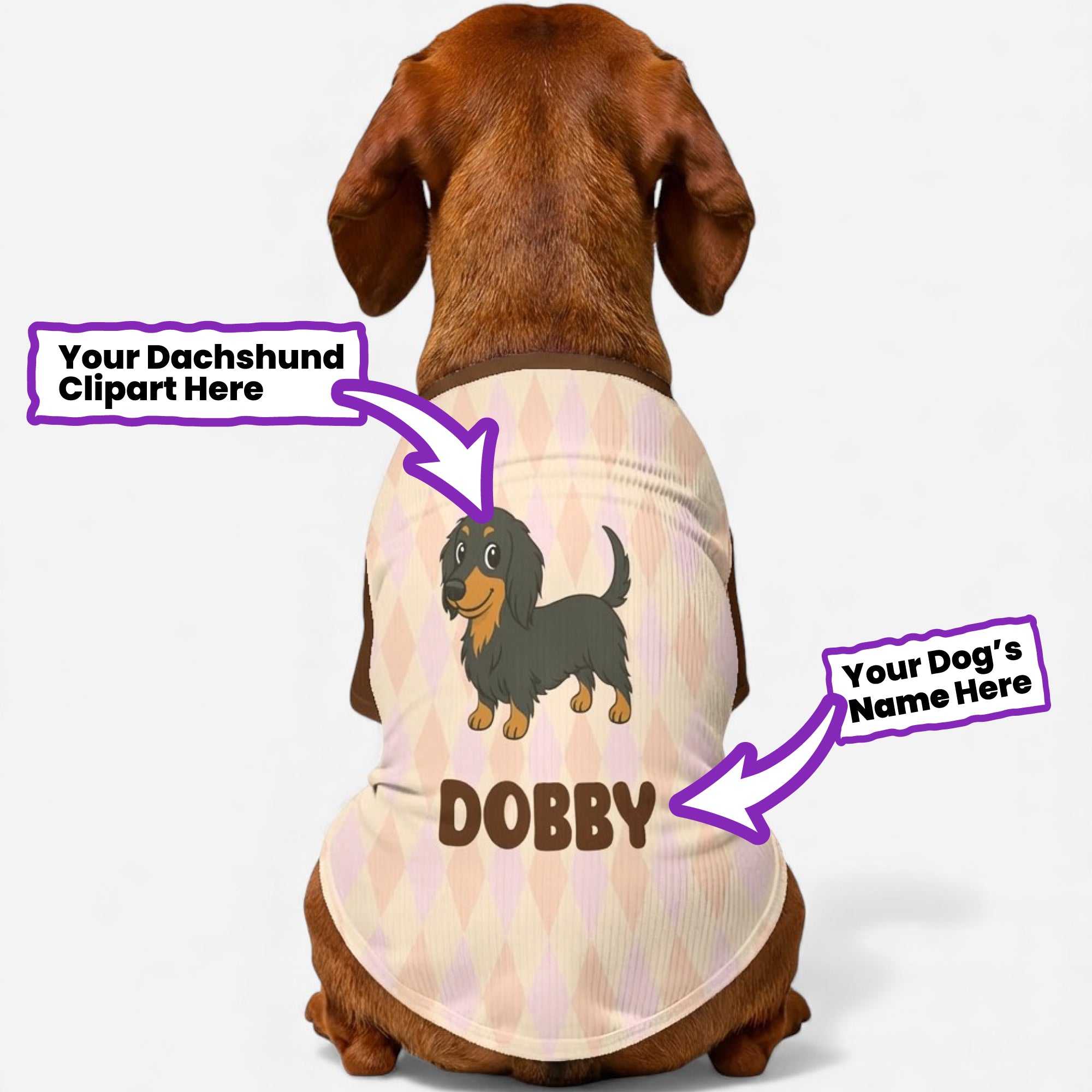 Collections – Dachshund Shop