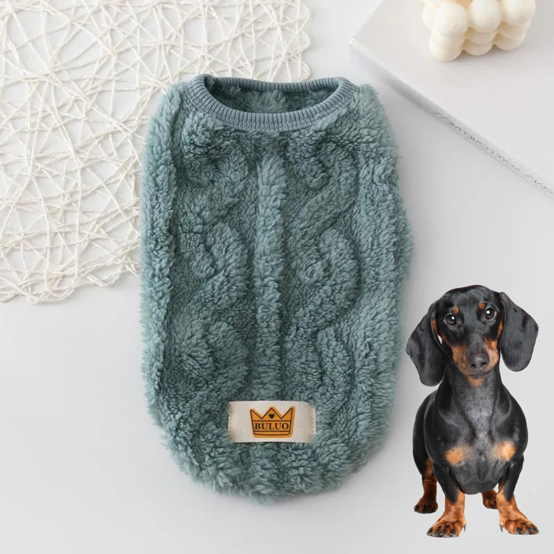 Cozy-Warm-Dachshund-Sweater-www.doxie.us