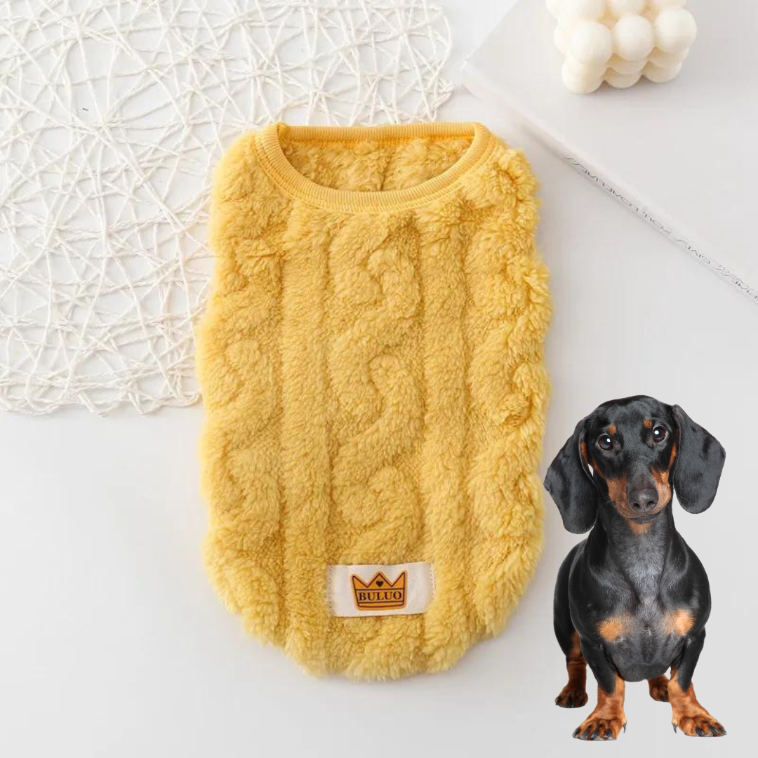 Cozy-Warm-Dachshund-Sweater-www.doxie.us