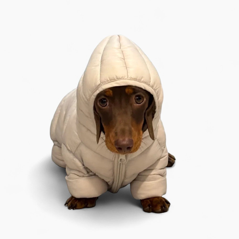 CozyPaw Dachshund Winter Jacket – Windproof Warm Dog Coat with Stand-Up Collar