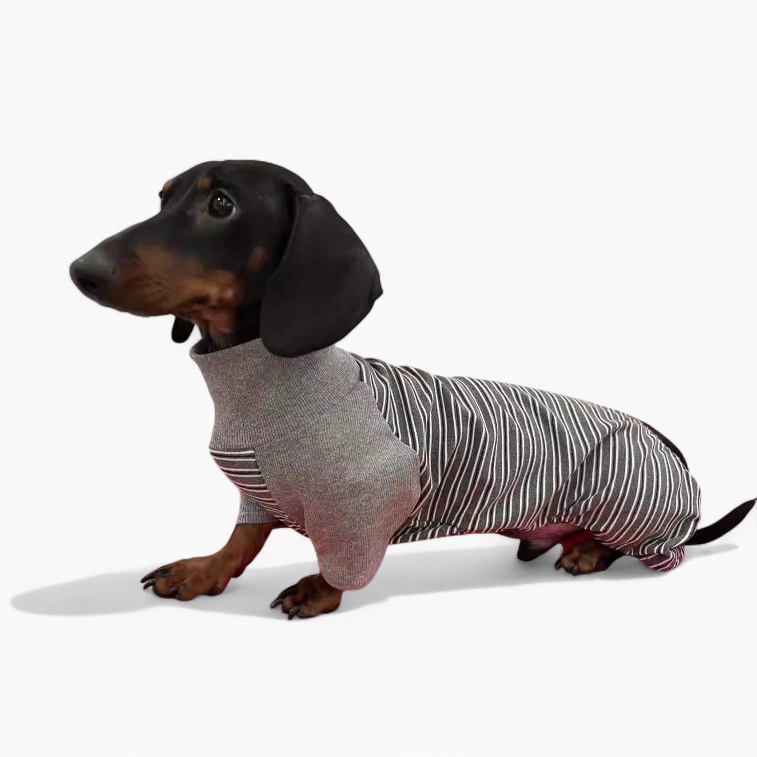 CozyStripe-Dachshund-Striped-Pajamas.jpg