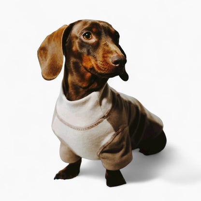 CozyTail-Dachshund-High-Neck-Shirt.jpg