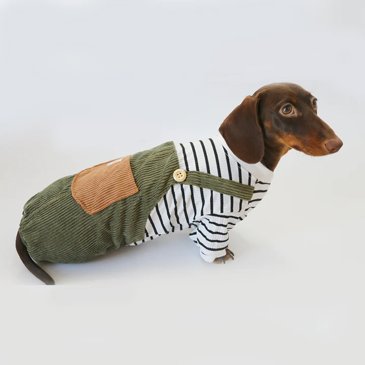 Cute-Striped-Dachshund-Clothes-Warm-Soft-Four-Legged-Overalls.jpg
