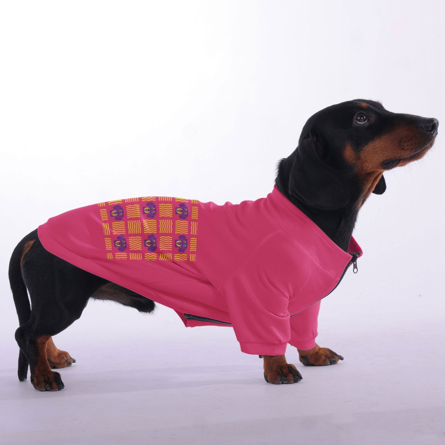 Ray - zip-up hooded sweatshirt for dachshund