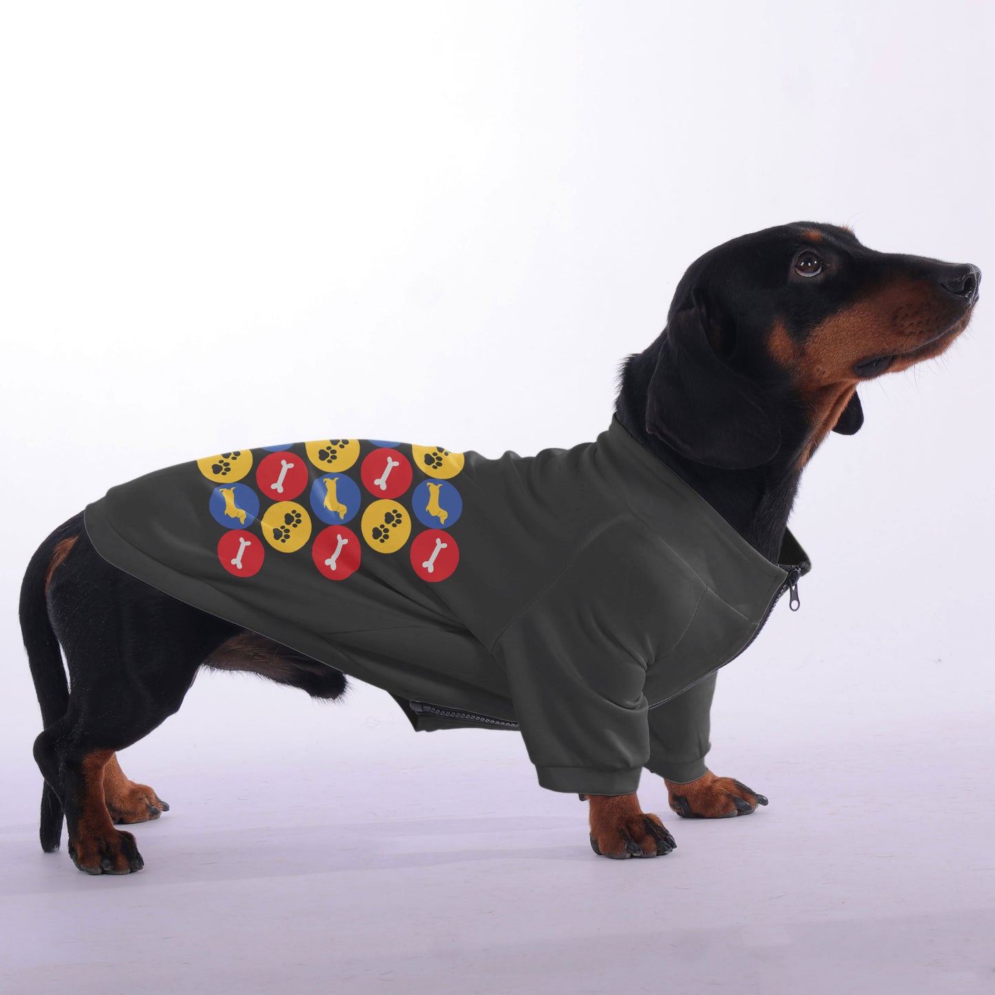 Indy - zip-up hooded sweatshirt for dachshund
