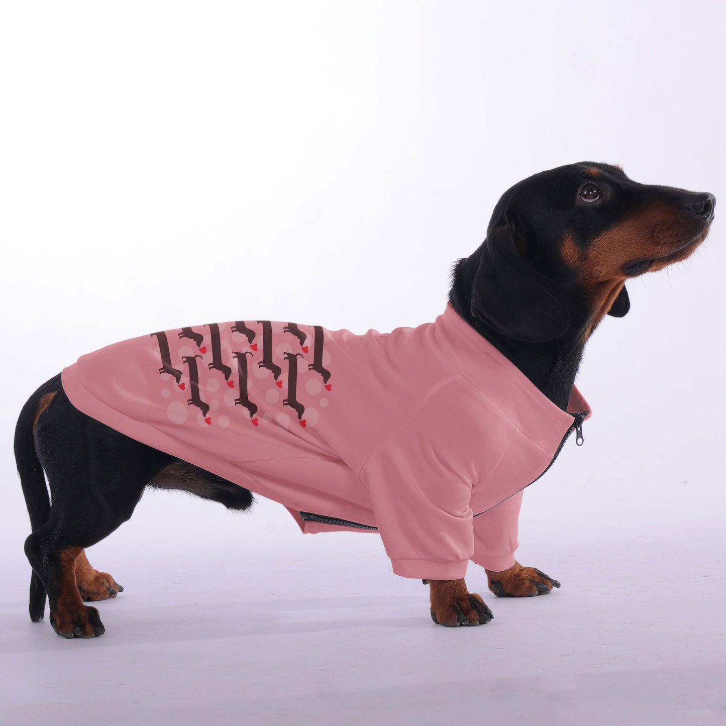 Frieda- zip-up hooded sweatshirt for dachshund