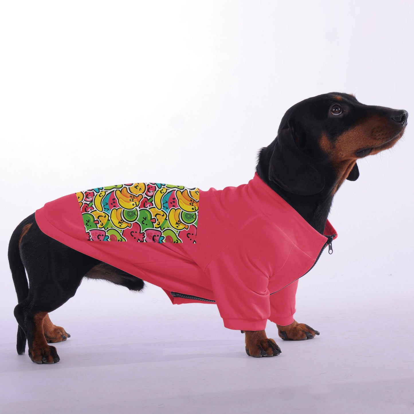 Maxl- zip-up hooded sweatshirt for dachshund