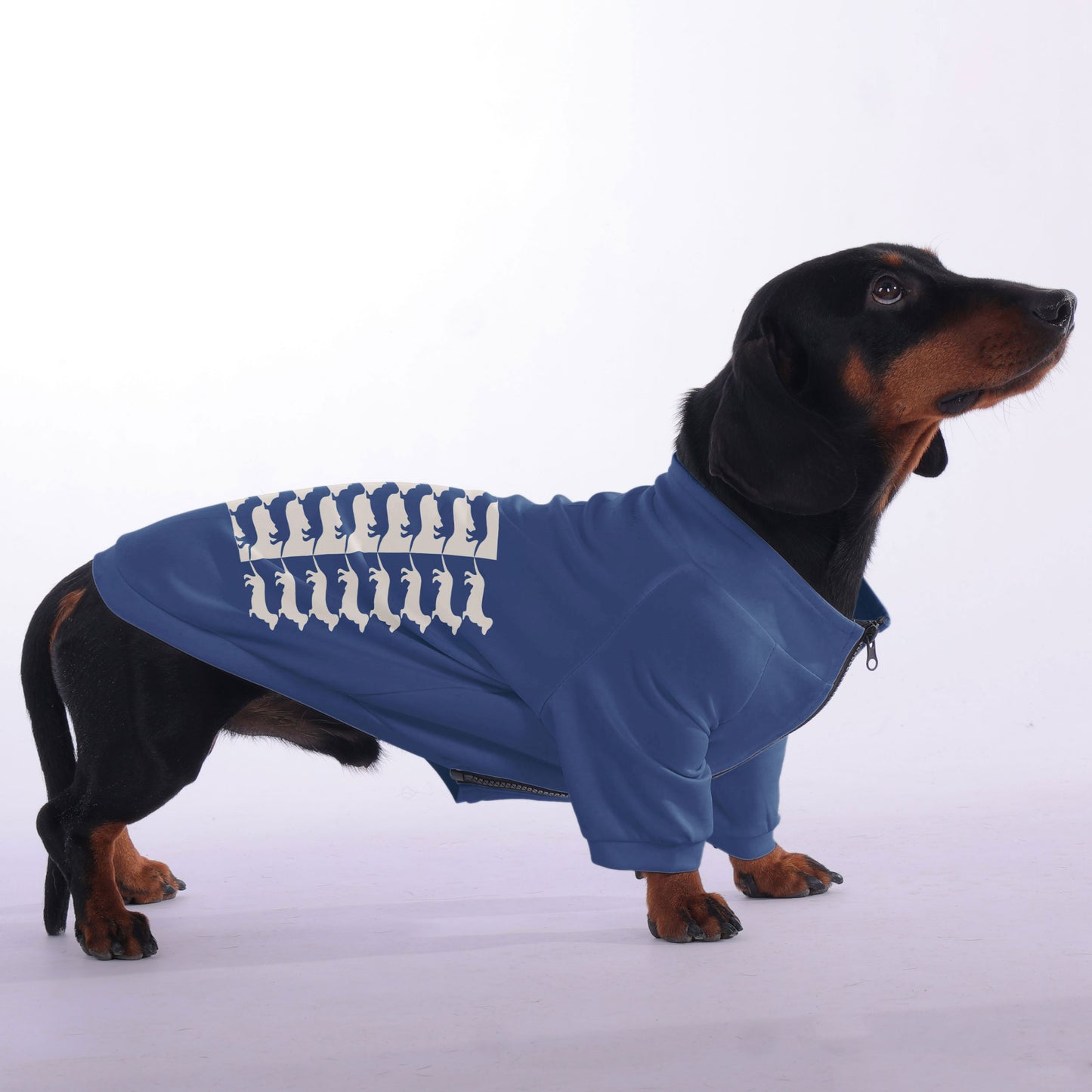 Olivia - zip-up hooded sweatshirt for dachshund