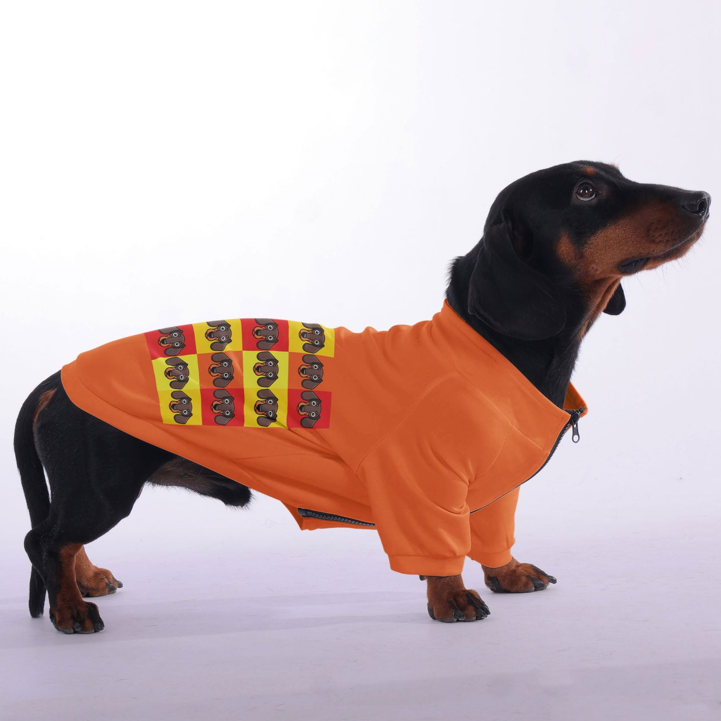 Muffin - zip-up hooded sweatshirt for dachshund