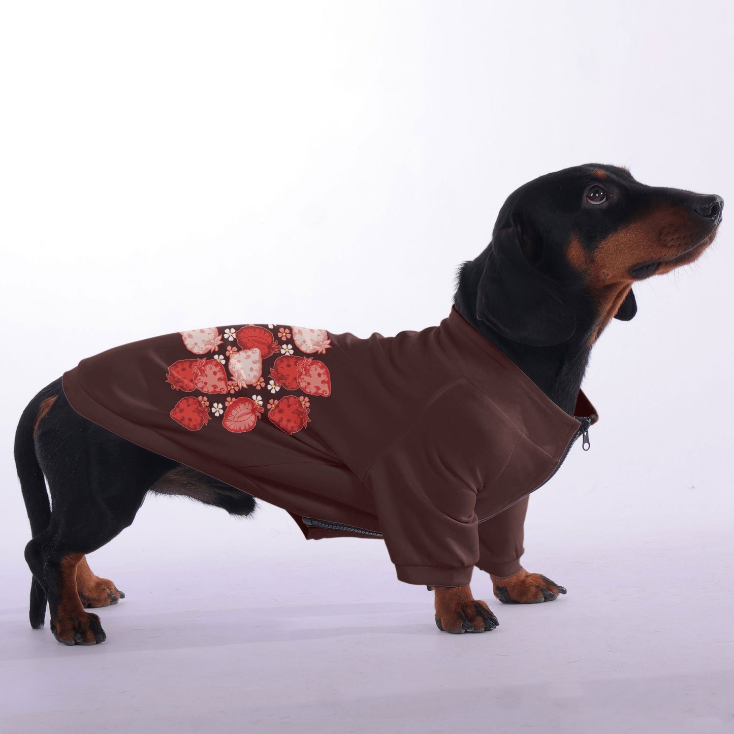 Mochi - zip-up hooded sweatshirt for dachshund